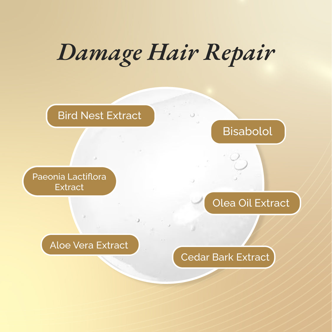 OSWEET Intensive Repair Shampoo for Damaged Hair